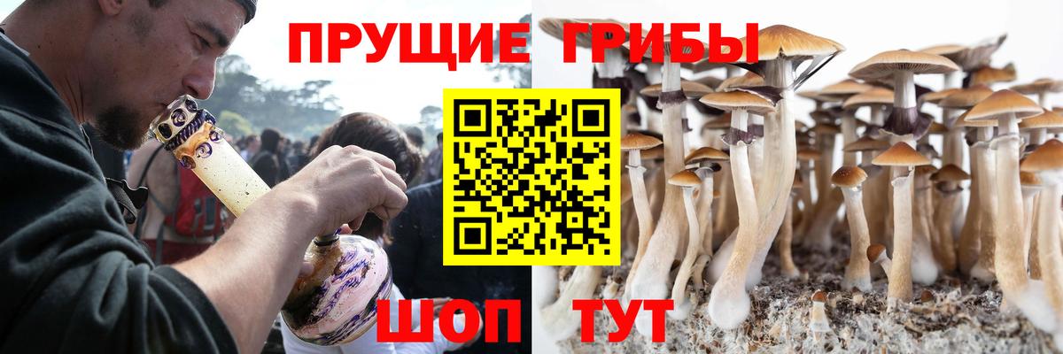 Шелехов  Галлюциногенные грибы прущие грибы  купить   Вход с VPN 